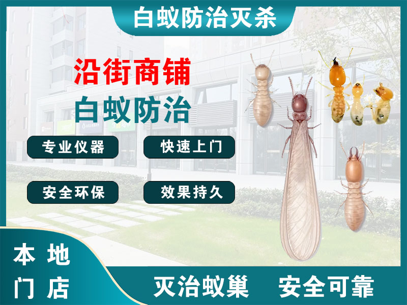 邳州沿街商铺白蚁防治