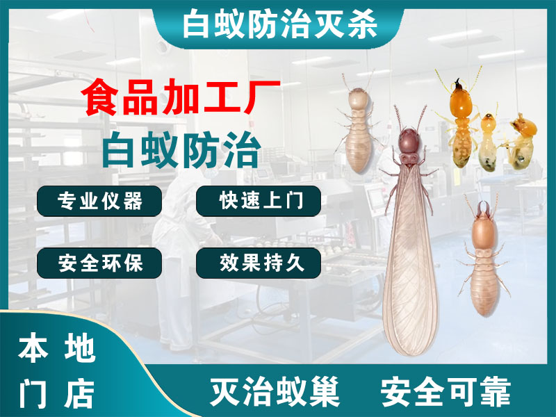 邳州食品加工厂白蚁防治