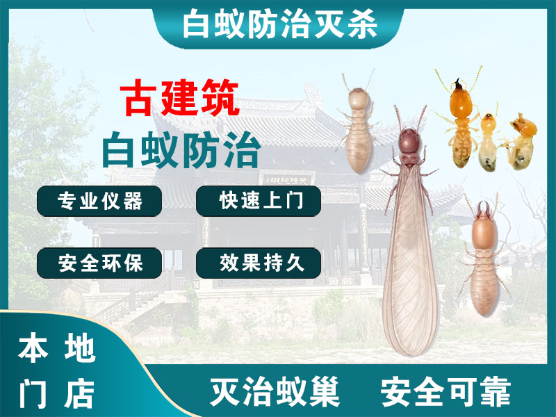 邳州古建筑白蚁防治