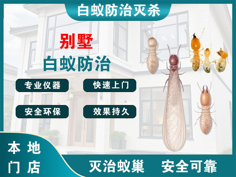 邳州别墅白蚁防治